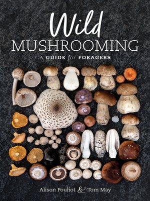Wild Mushrooming - ebook